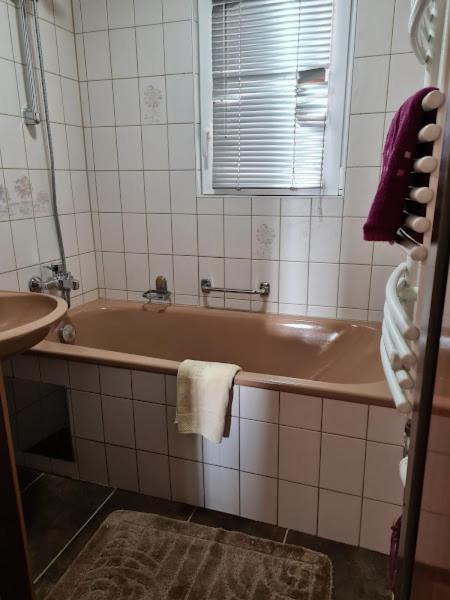 Alexandra Appartement Gersdorf Εξωτερικό φωτογραφία
